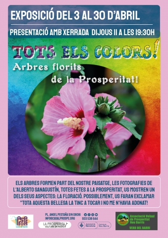 Exposició: Tots els colors! Arbres flortis de la Prosperitat